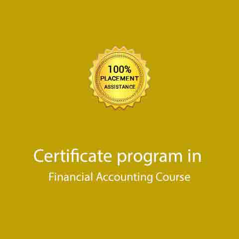 tally financial accounting program