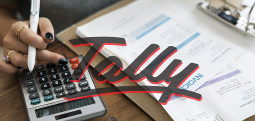 tally accounting erp solution nepal
